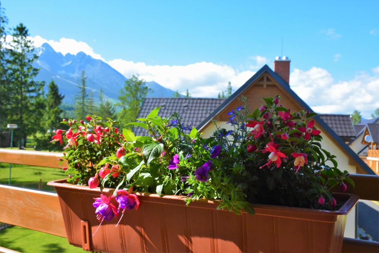 Flowers on a balcony overlooking the High Tatras from Apartments Piknik